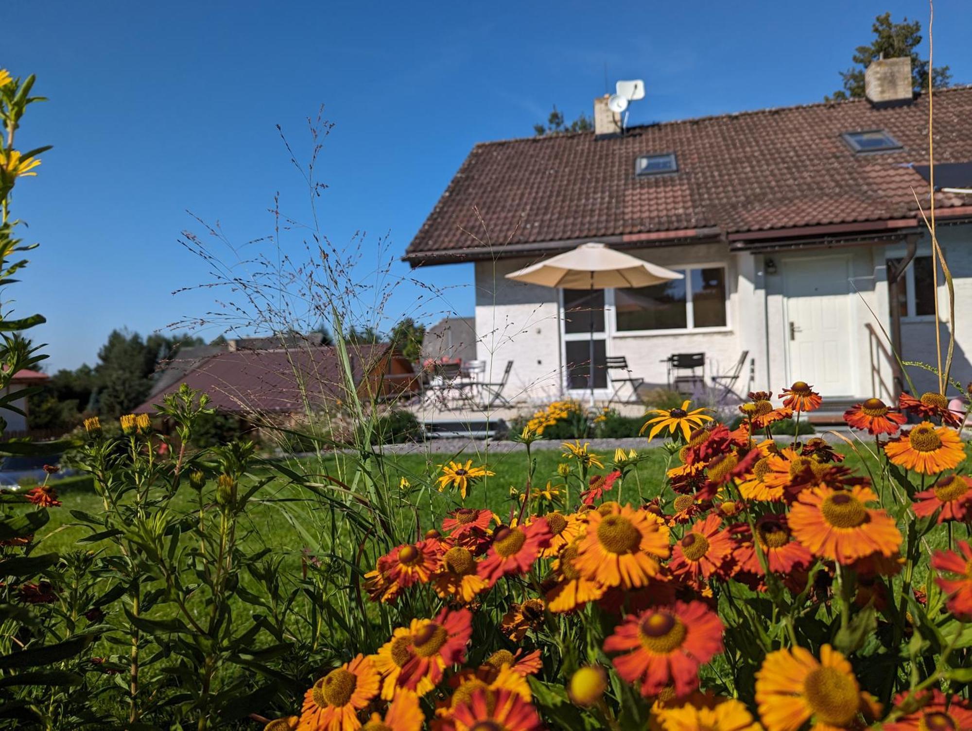 Penzion U Vichu Červená Voda Exterior foto