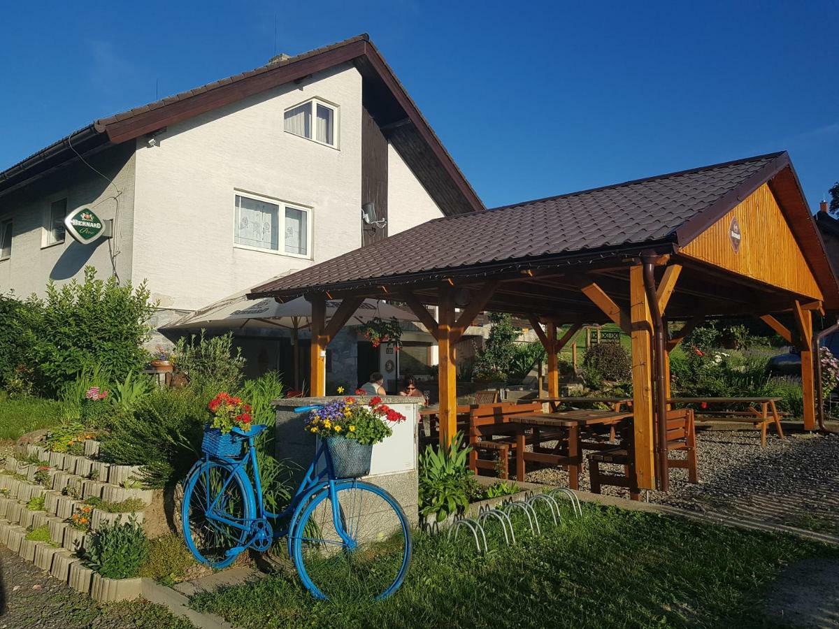 Penzion U Vichu Červená Voda Exterior foto